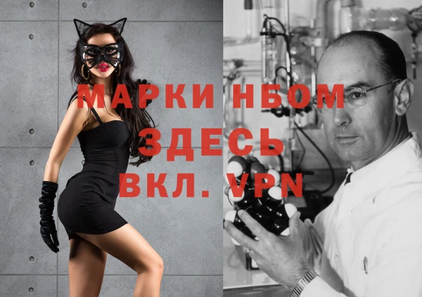 мдпв Алзамай