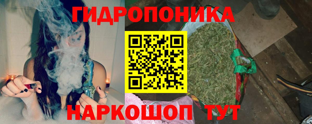 Бошки Шишки марихуана Находка